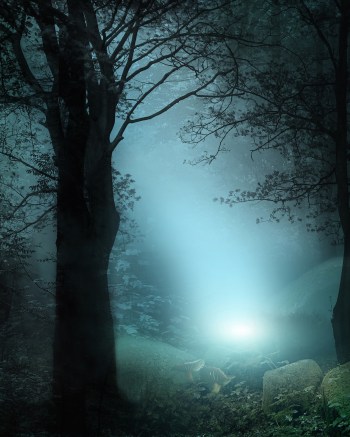 forest-fantasy-16publicdomain